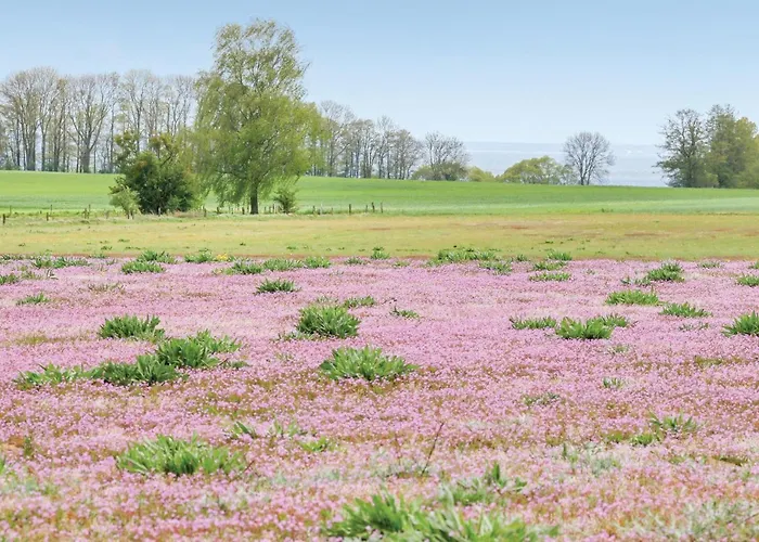 Haus Sonnenschein Kutzow